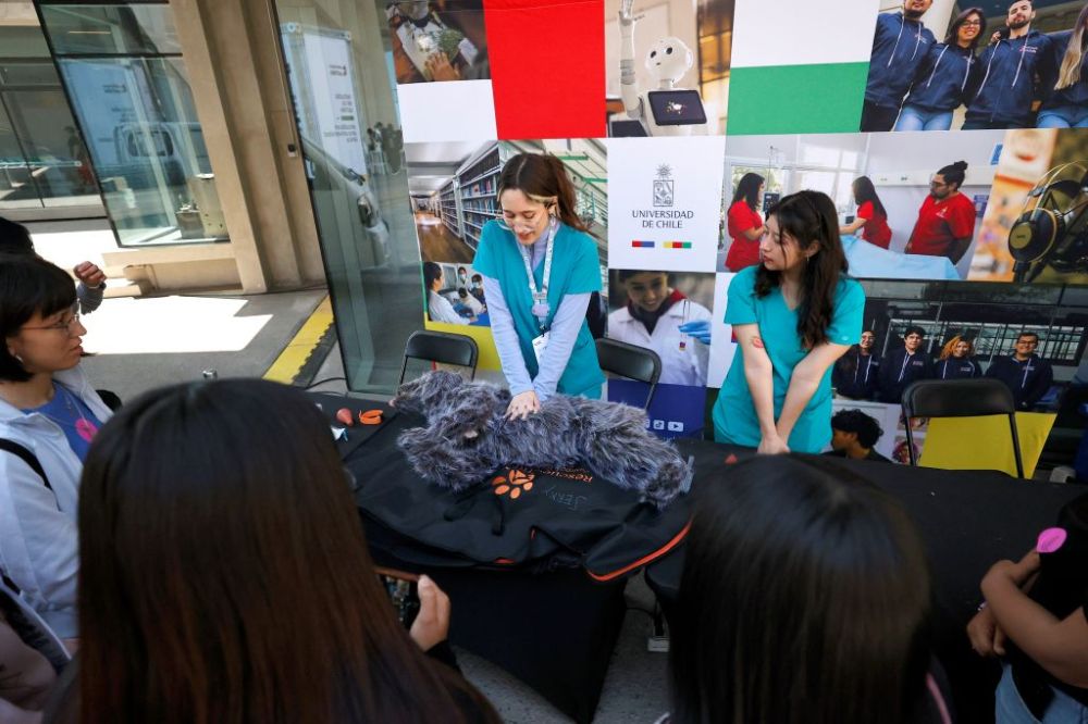 Monitoras de Veterinaria hacen simulación de reaminación de animales