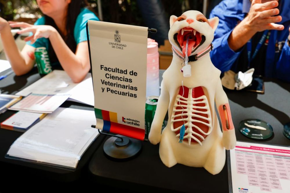Stand de la Facultad de Ciencias Veterinarias y Pecuarias, con un primer plano de un muñeco de simulación clínica de gato. De fondo, se alcanza a ver a los miembros del stand explicando algo.