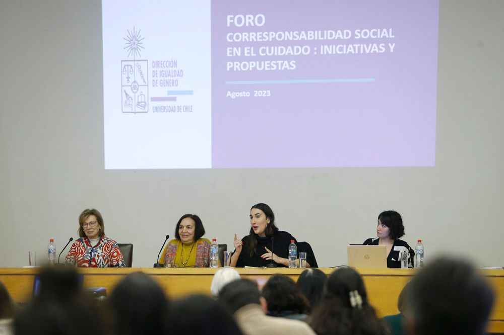 María Eugenia Valenzuela, experta en género de la Cepal; Carmen Andrade, Directora de Igualdad de Género U. de Chile; Emilia Schneider, Diputada; y Camila Bustamante, Asesora en Género de la Subsecretaría de Servicios Sociales