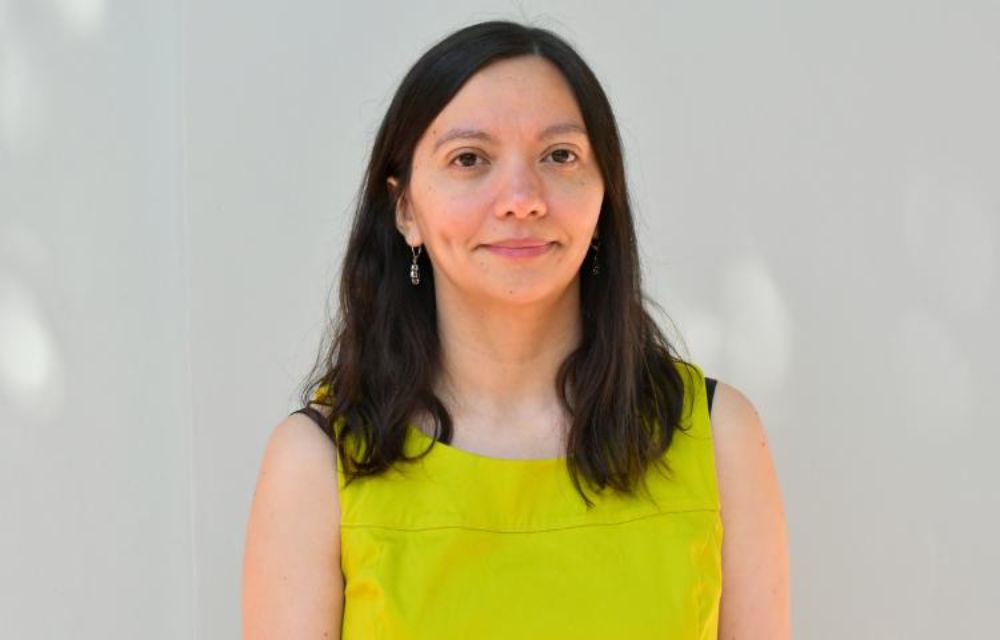 “Un mismo docente en un mismo año tiene que complementar hasta cinco instrumentos que evalúan aspectos diferentes", señaló la investigadora de la U. de Chile, María Beatriz Fernández.