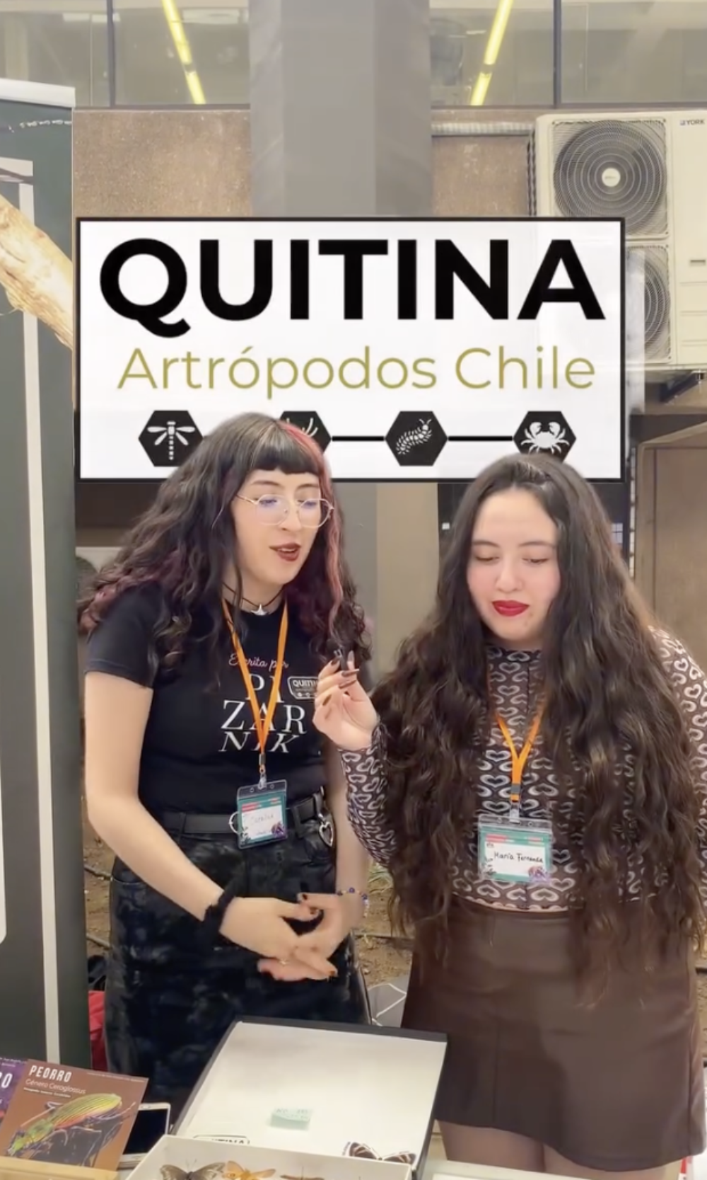 En términos de alcance, la iniciativa logró un impacto digital superior a los 2,9 millones de acciones, con más de 2,7 millones de visualizaciones y cerca de 200 mil interacciones.