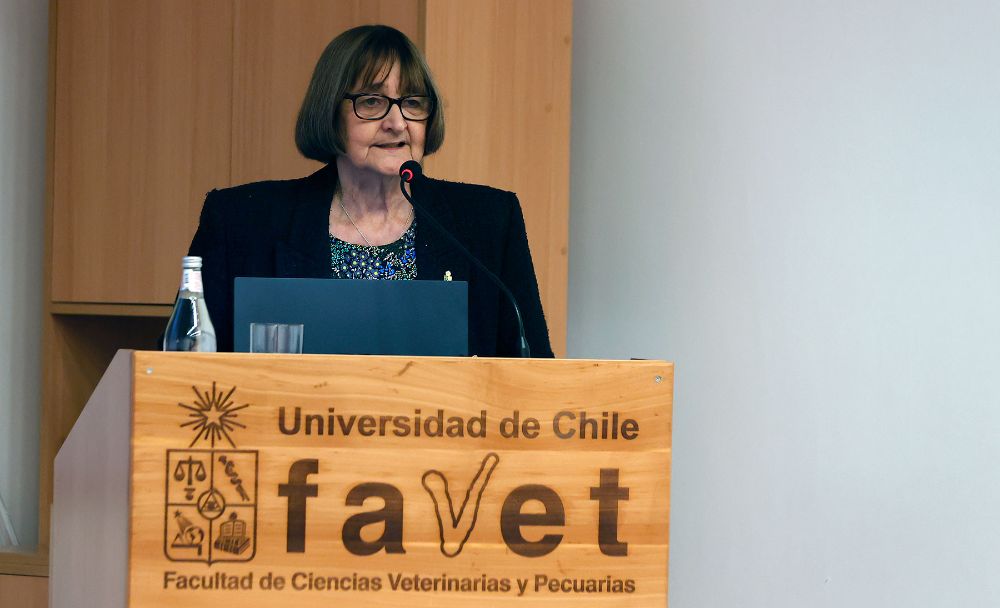 "En la Universidad hemos avanzado mucho, porque hemos sido pioneros en la acreditación de carreras y de programas de postgrado. Hemos fijado los estándares en cada época. Ahora somos una de las primeras universidades complejas en acreditarse con los nuevos criterios, y nos corresponde nuevamente marcar el estándar de calidad", sostuvo la Rectora Devés.