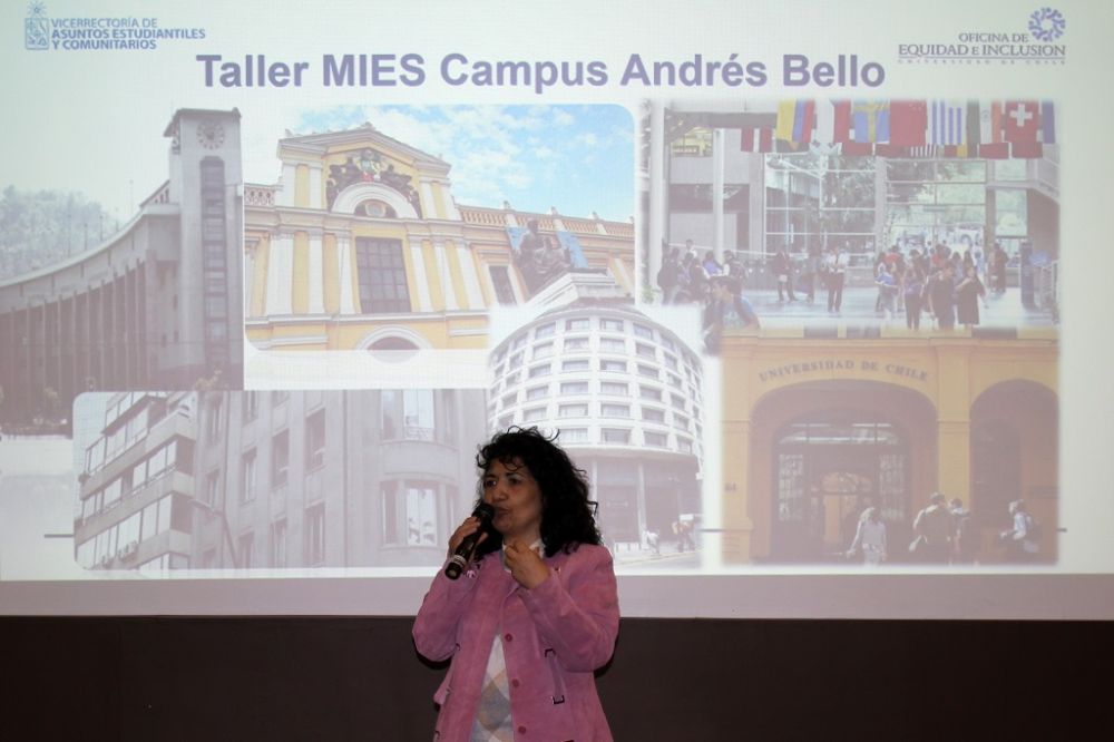 Maribel Mora Curriao, directora de la Oficina de Equidad e Inclusión. 