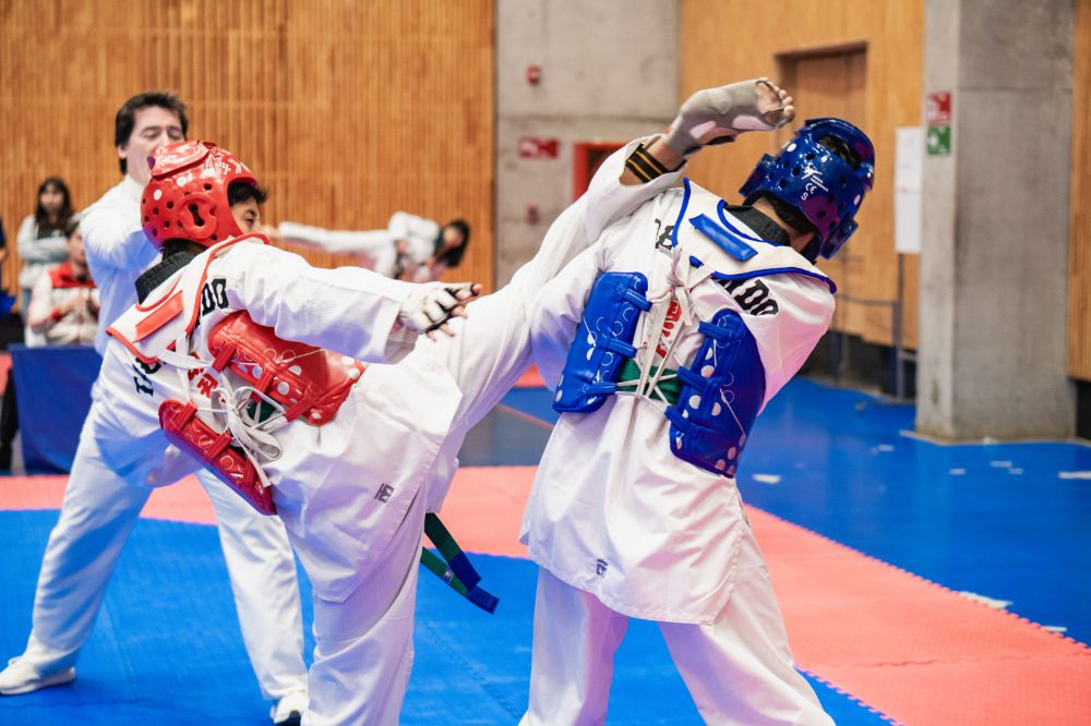 Torneo Interfacultades de Taekwondo