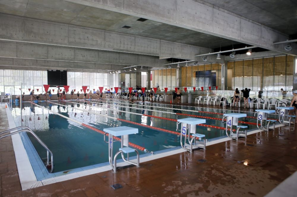 Favorece el aumento de la memoria, la capacidad cerebral y prevención del deterioro cognitivo.