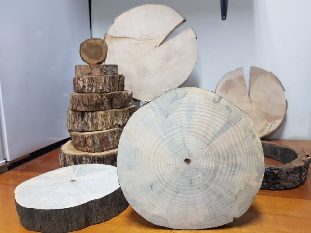 Las rodelas muestran la médula del árbol al centro y los anillos de crecimiento hacia la corteza.