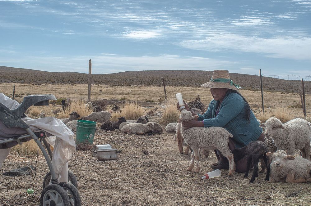 Agricultura campesina