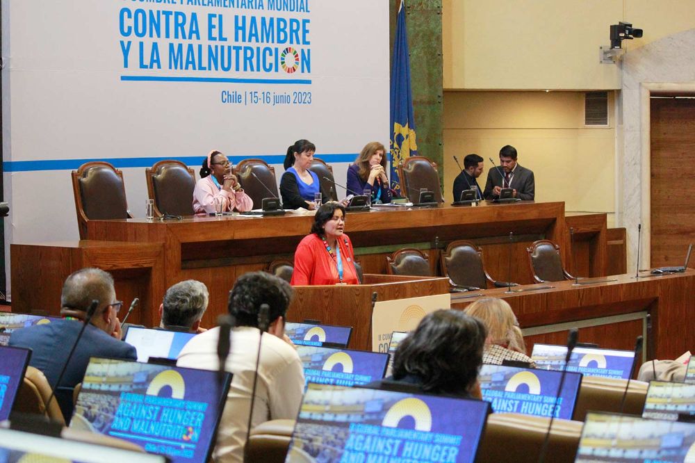 Dentro del programa del primer día de la Cumbre estuvo la exposición de la profesora Camila Corvalán, directora del Centro de Investigación en Ambientes Alimentarios y Prevención de Enfermedades Crónicas Asociadas a la Nutrición, en la Unidad de Salud Pública del INTA.