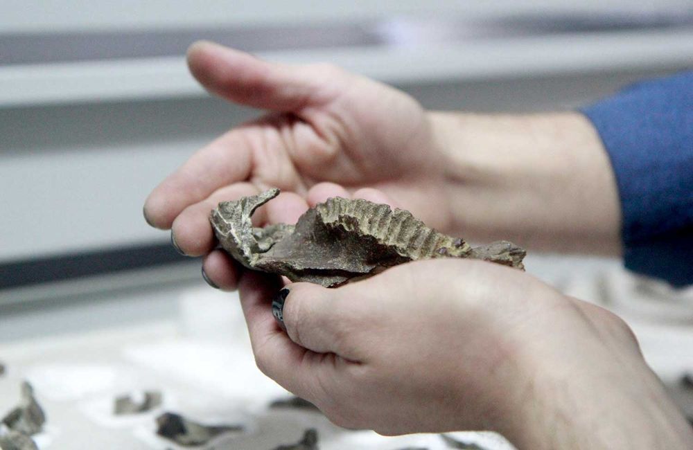 Alexander Vargas vistiendo un vestón azul, sentado en su laboratorio