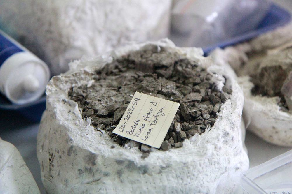 Alexander Vargas vistiendo un vestón azul, sentado en su laboratorio