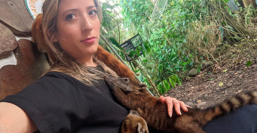  “Queremos ayudar a todo tipo de animales, principalmente, primates. Al principio creo que lo único que no voy a recibir son felinos, porque es muy caro mantenerlos. Además, es complejo su manejo, son animales muy agresivos. Y aves, porque necesitaría un aviario grande y eso es costoso. A futuro me gustaría hacer uno como el del Zoológico Metropolitano, porque ellas necesitan volar para rehabilitarse”, resaltó la veterinaria. 