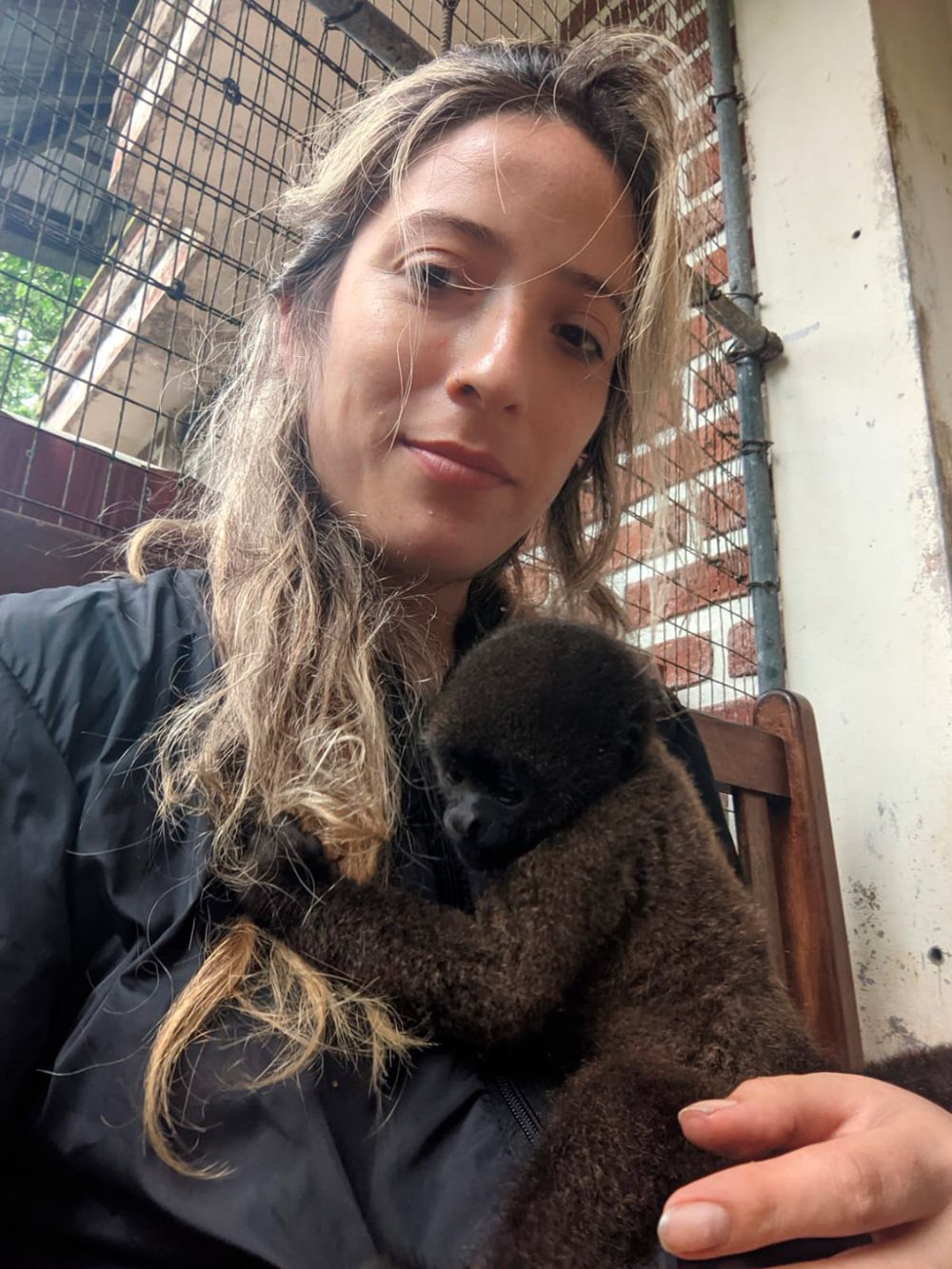 El proyecto Ramon´s Rescue Center contempla la construcción de una clínica de alta complejidad para recibir animales de otros centros y realizar investigaciones junto a universidades. La egresada está gestionando una alianza estratégica con la Casa de Bello para que viajen hasta el recinto estudiantes y académicos.