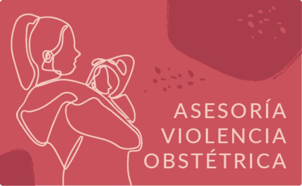 En este Observatorio, distintos profesionales entregan ayuda médica, psicológica y legal, además de generar estudios para erradicar la violencia obstétrica.