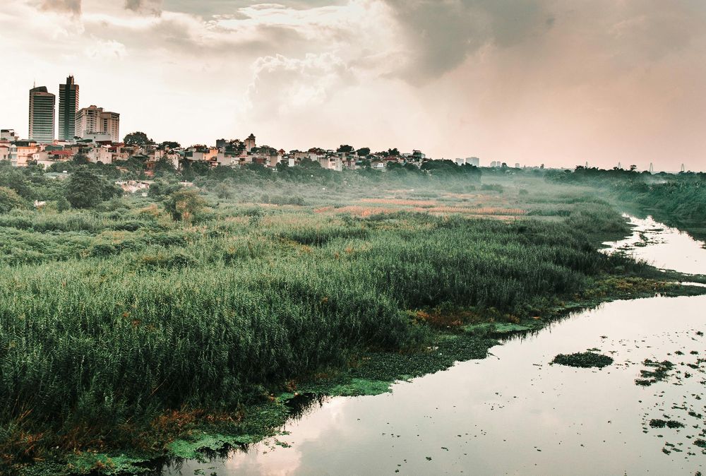 “Los humedales son vulnerables a una serie de amenazas, principalmente causadas por actividades humanas", asegura el académico del Departamento de Geografía, Alexis Velásquez.