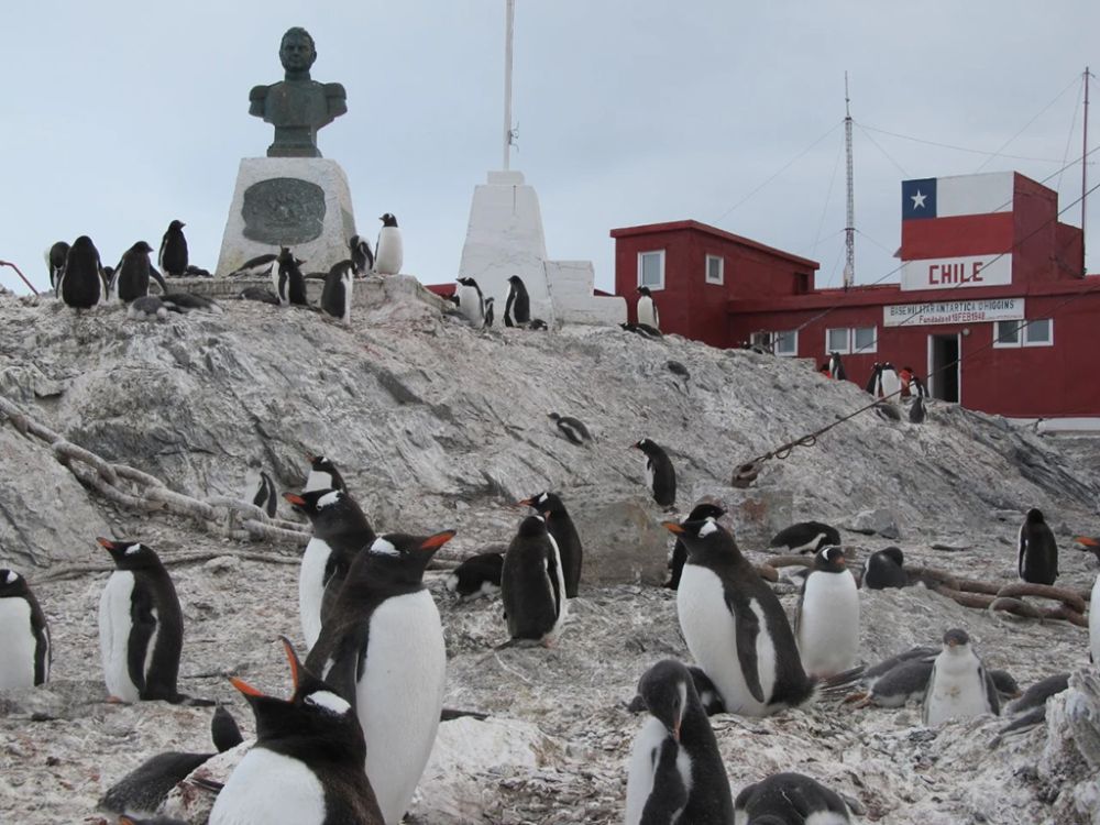 “Desde el año 1959 en adelante, se ha desarrollado todo un régimen internacional para la gobernanza de estos territorios, régimen en el cual Chile es uno de los protagonistas, es uno de los países signatarios del Tratado Antártico 1959", explica Ferrada. 