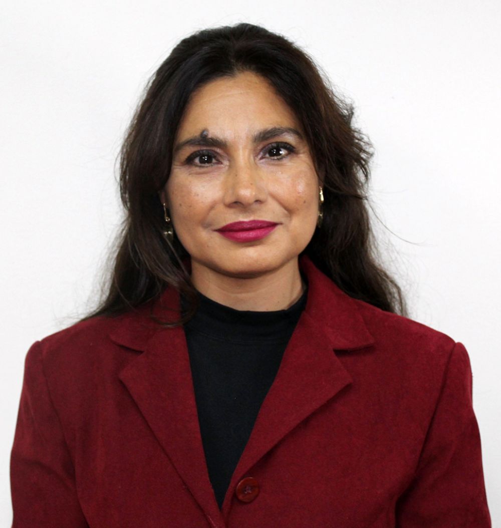 "Tenemos muchos grupos de minorías que tenemos que como desafío abordar en esta formación", señala Marcela Goldsack, Subdirectora de la Escuela de Obstetricia U. de Chile.