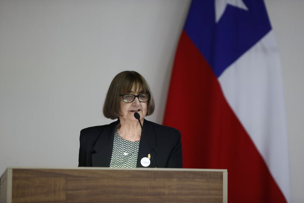 "Lo que ustedes están haciendo, encontrarse con otras y ver dónde están, es clave, es lo que da fuerza”, señaló la Rectora de la U. de Chile, Rosa Devés, quien participó del lanzamiento.