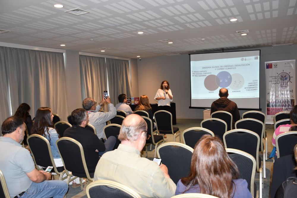 "Los resultados permitieron obtener productos con buen desempeño tecnológico, alto valor nutricional y, en tres de las formulaciones desarrolladas, sin presencia de sellos de advertencia nutricional", explicó la profesora Cecilia Baginsky.