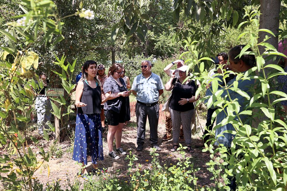 Huerta agroecológica