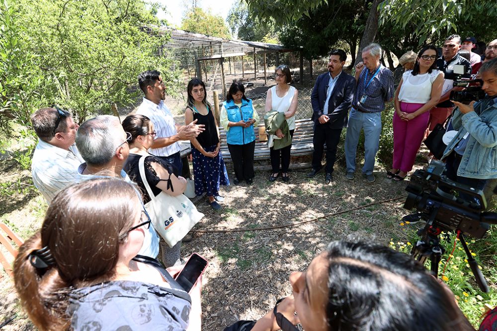 Huerta agroecológica