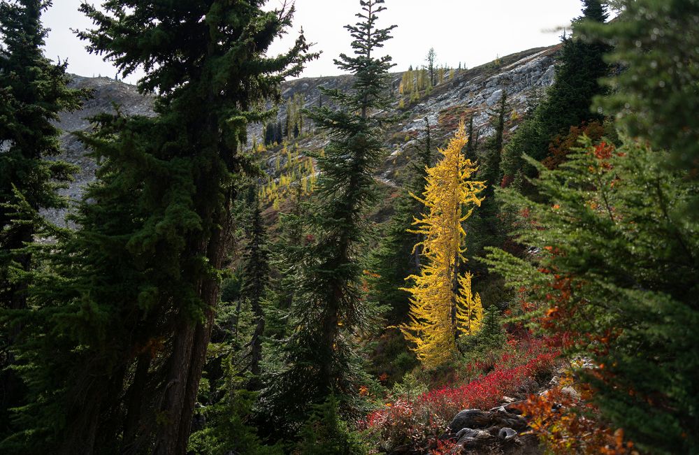 Aunque el cambio climático es parte del ciclo de cambios de temperaturas de los últimos 18 mil años, hay una aceleración de los cambios, sobre todo durante el siglo XX. 