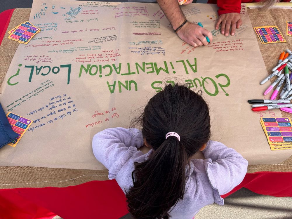 Arica y Parinacota, Coquimbo, Metropolitana, La Araucanía y Los Lagos, son las regiones involucradas en el proyecto.