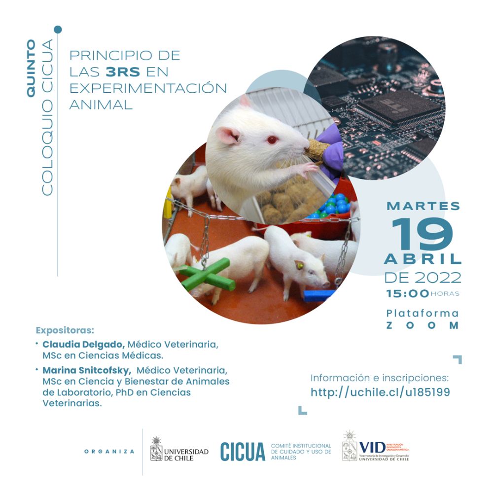 Quinto coloquio CICUA