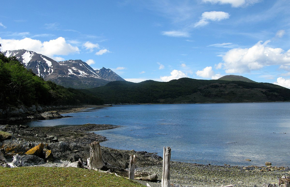 La investigación develó la extensión del daño causado por el castor con el uso de imágenes satelitales y su posterior corroboración en terreno. 