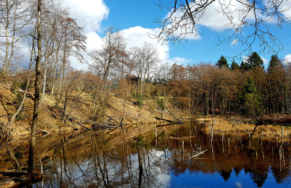 El proyecto fue financiado en el marco del Proyecto GEF Castor, por el Fondo Mundial para el Medio Ambiente, Global Environmental Facility (GEF), apoyado por la Organización de las Naciones Unidas para la Alimentación y la Agricultura (FAO) y el Ministerio del Medio Ambiente.