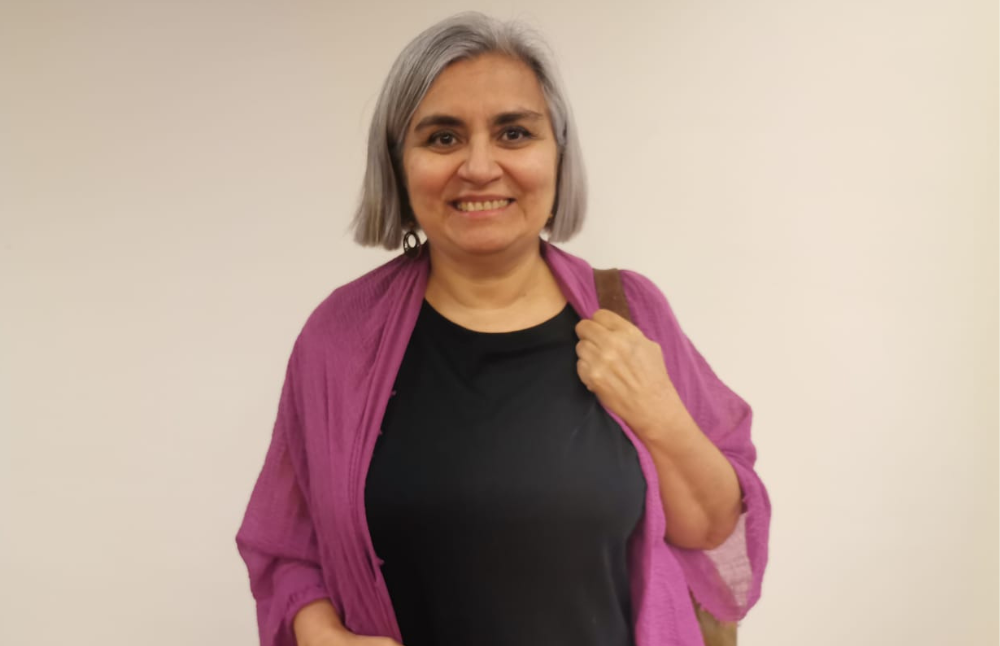 La académica de la Facultad de Artes, María Helena Muñoz, quien fue parte del lanzamiento del compilado en las dependencias del Centro Cultural Gabriela Mistral, dijo que el presente libro es el reflejo del trabajo de años de la modernidad arquitectónica.