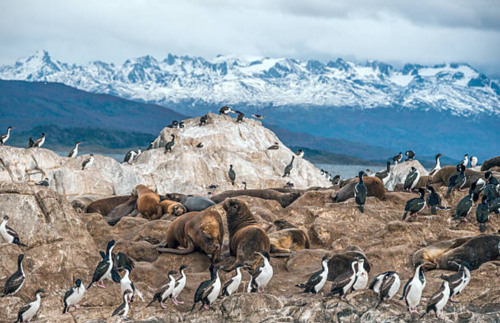 Los microorganismos podrían contribuir a mejorar o mitigar el cambio climático debido a su papel en la emisión y consumo de potentes gases de efecto invernadero como el óxido nitroso y el metano.