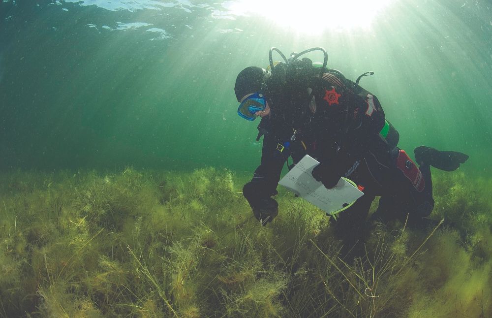 El evento también contó con una charla magistral impartida por el académico de la Universidad del Estado de Río de Janeiro y ejecutivo senior del Banco de Desarrollo de América Latina, Pablo Gentili.