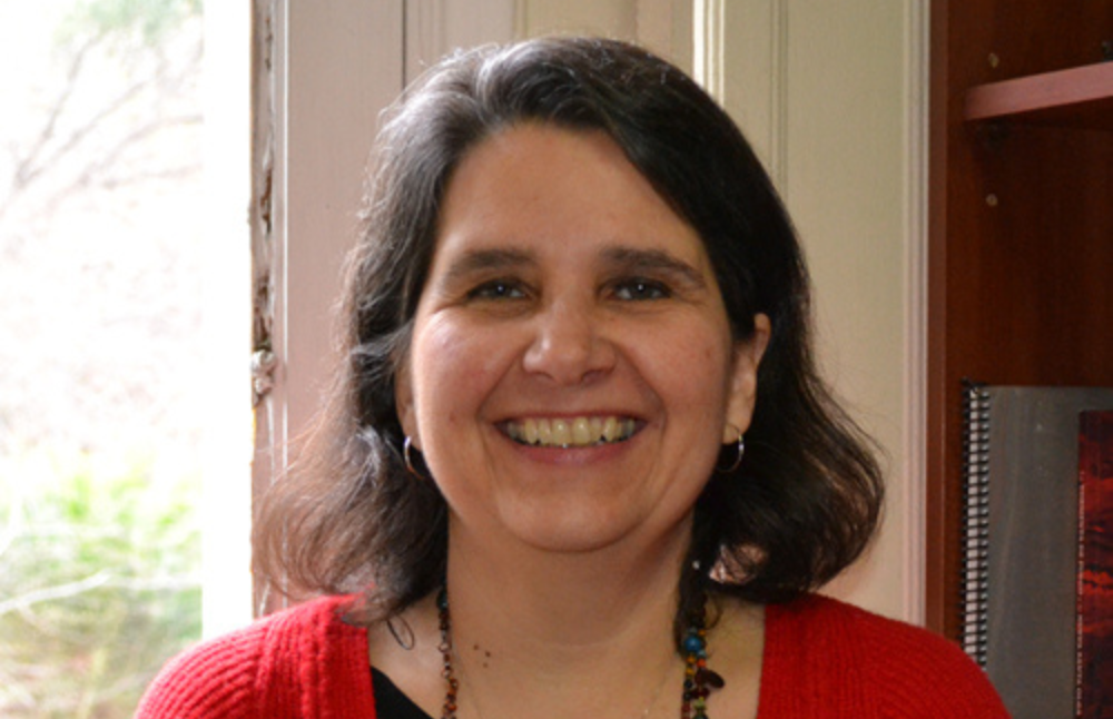 Redactora del documento y académica de la Facultad de Gobierno, Mireya Dávila.