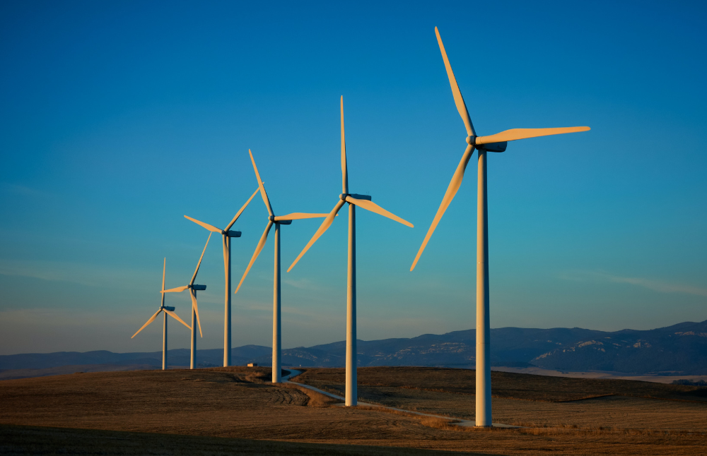 La iniciativa busca ser un aporte a través de la capacitación en innovación social a las y los estudiantes, que les permitan contar con herramientas para enfrentar problemas complejos y contribuir al desarrollo sostenible. 