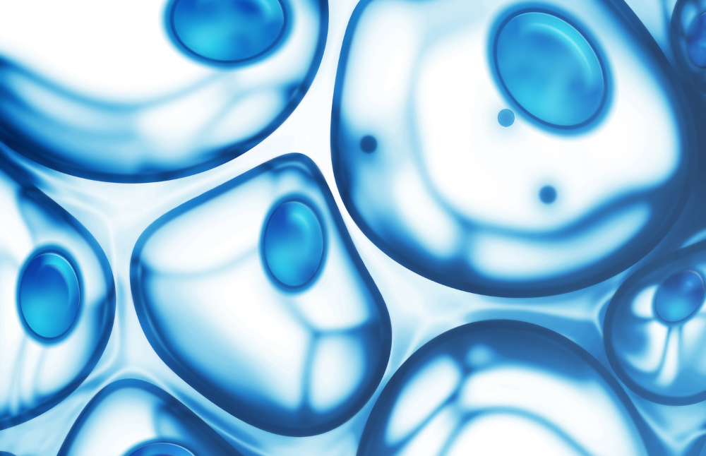 La investigación aborda el papel de la microglía en condiciones donde su activación excesiva o disfuncional contribuye a la patogénesis cerebral, una problemática central en neurociencias modernas. 