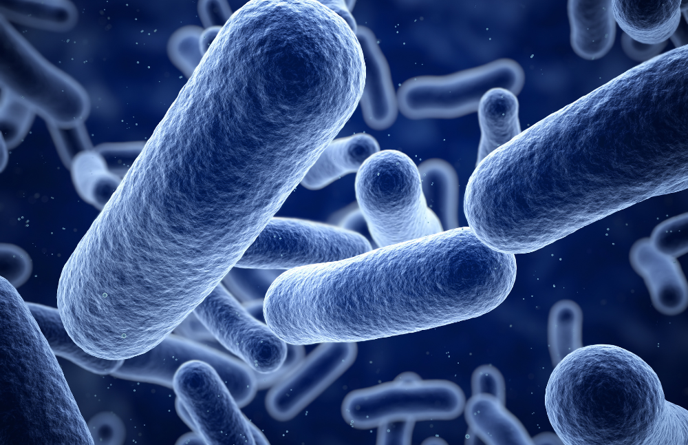 “Este diseño permitirá obtener un nanosistema multifuncional y eficiente, capaz de direccionarse específicamente hacia bacterias patógenas y combinar estrategias terapéuticas como fototerapia, quimioterapia y radioteranósticas. Se espera que la acción sinérgica de estos mecanismos genere diversas rutas de muerte bacteriana, frente a las cuales las bacterias multirresistentes y las biopelículas no presenten respuestas adaptativas eficaces”, sostuvo el académico Morales.