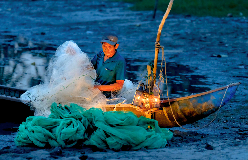 El Policy Brief asegura que el bajo consumo de estos productos se origina principalmente por barreras de acceso económico, lo que genera inequidades reflejadas en la ingesta de grupos de menor nivel socioeconómico. Esto se complementa con la actual normativa pesquera, la cual prioriza intereses económicos del sector industrial exportador por sobre el abastecimiento interno y local.