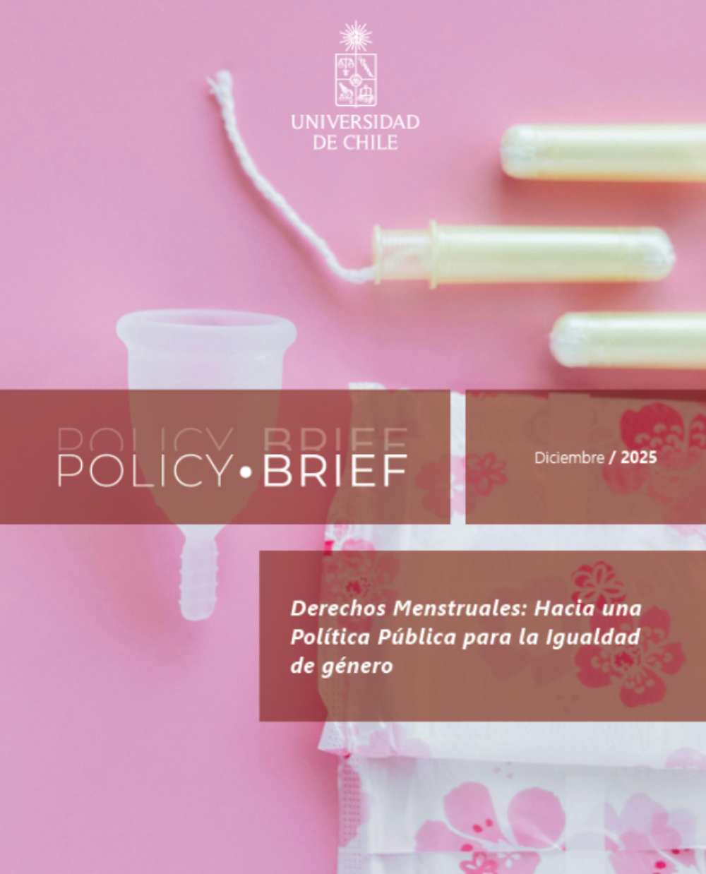 El Policy Brief “Derechos Menstruales: Hacia una Política Pública para la Igualdad de Género” aborda el problema del acceso a la salud menstrual y sus implicancias. 
