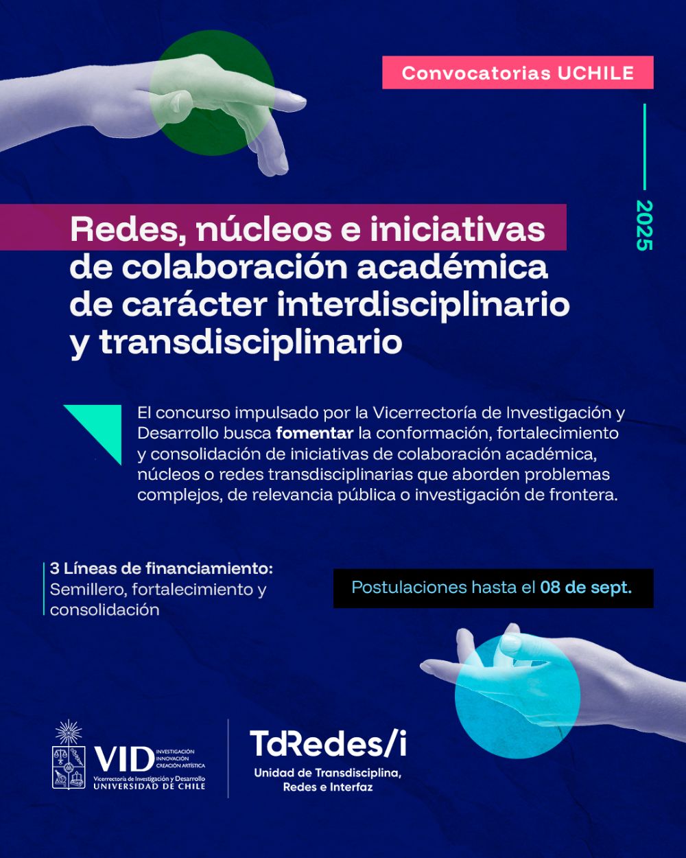 El Concurso “Redes, Núcleos e Iniciativas de colaboración académica de carácter interdisciplinario y transdisciplinario” tiene tres líneas de financiamiento: semillero, fortalecimiento y consolidación.