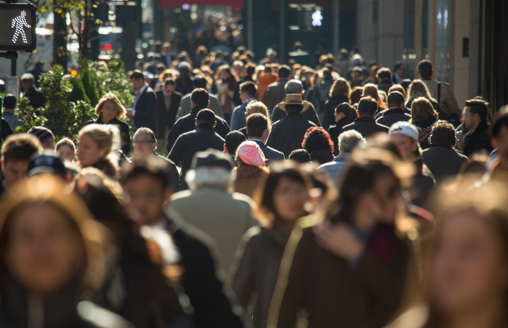La Vicerrectoría de Investigación y Desarrollo ha trabajado en la construcción y estandarización de un conjunto de formatos orientados a fortalecer la interfaz ciencia-política y ciencia-sociedad, así como a promover aportes desde la innovación pública, la creación artística y las iniciativas interdisciplinarias y transdisciplinarias.