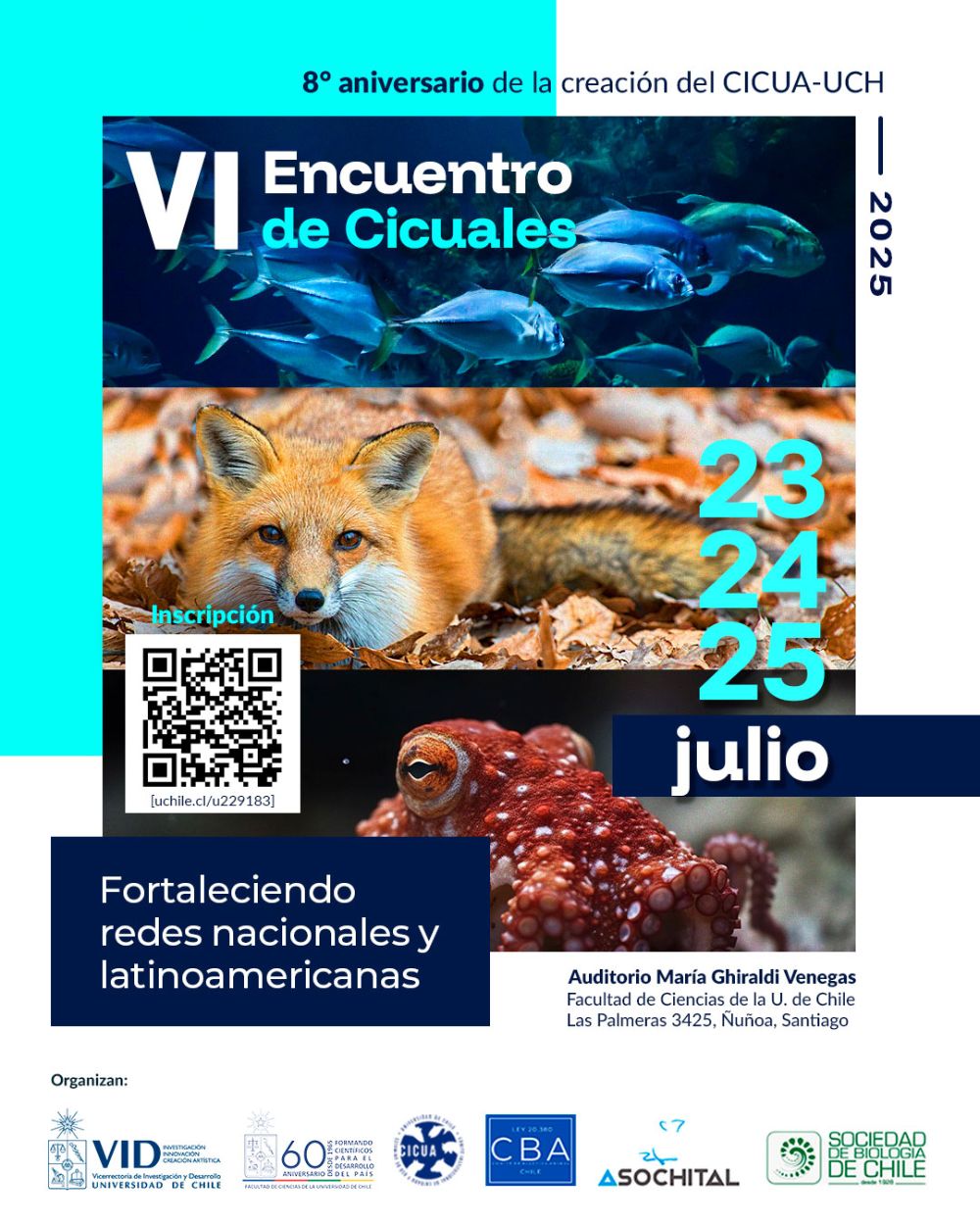 VI Encuentro de Cicuales