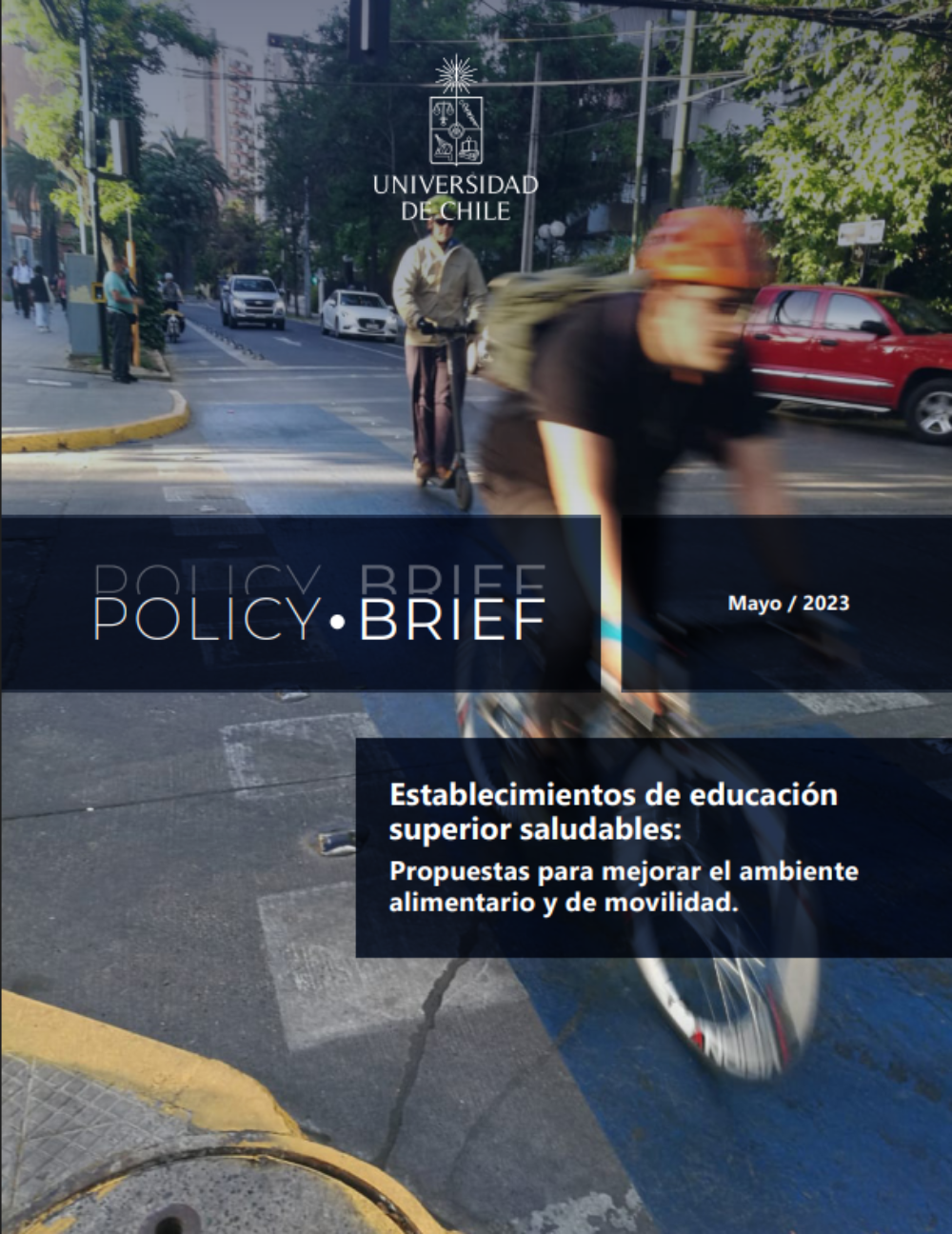 Policy Brief