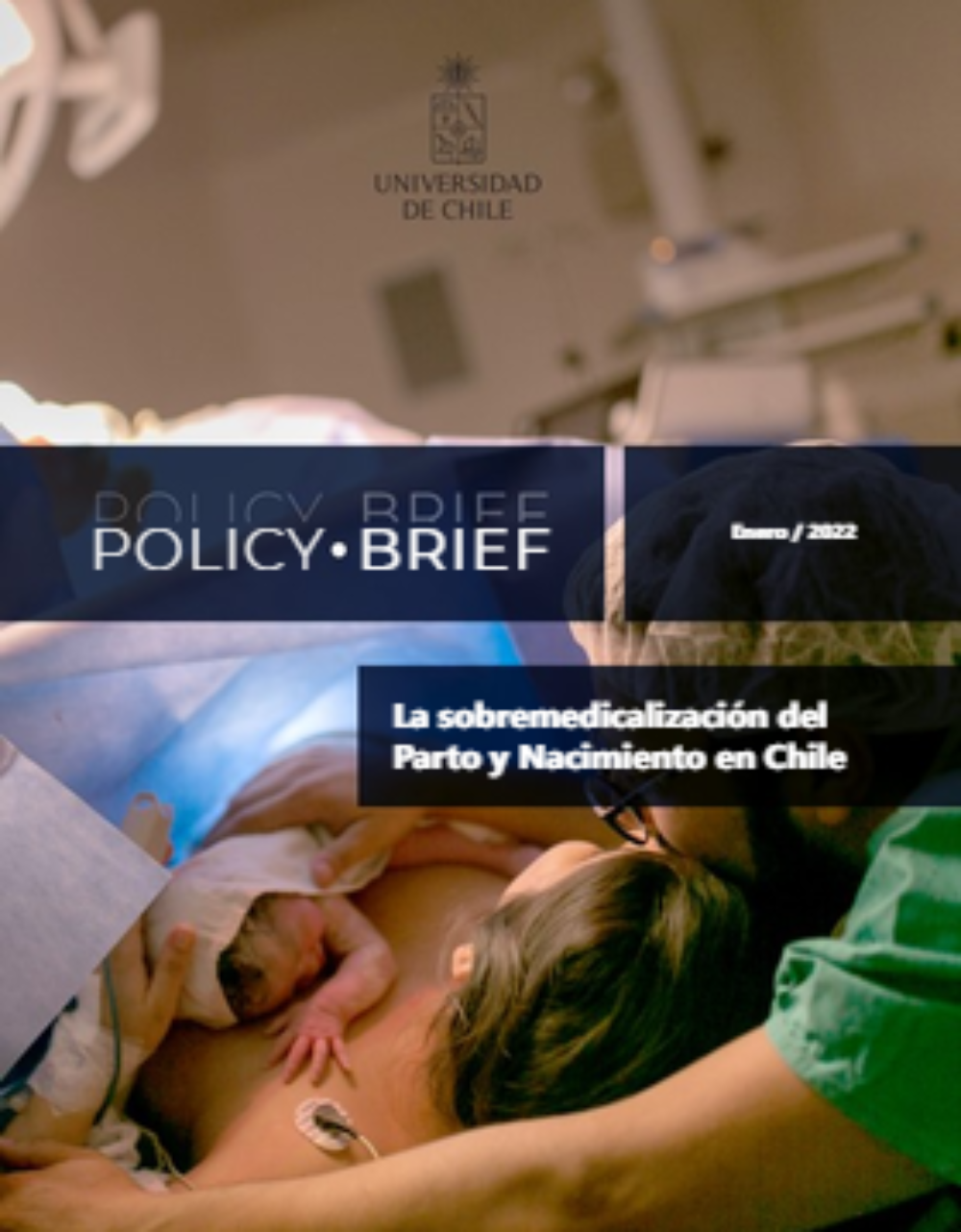 Policy Brief "Sobremedicalización del Parto y Nacimiento en Chile"