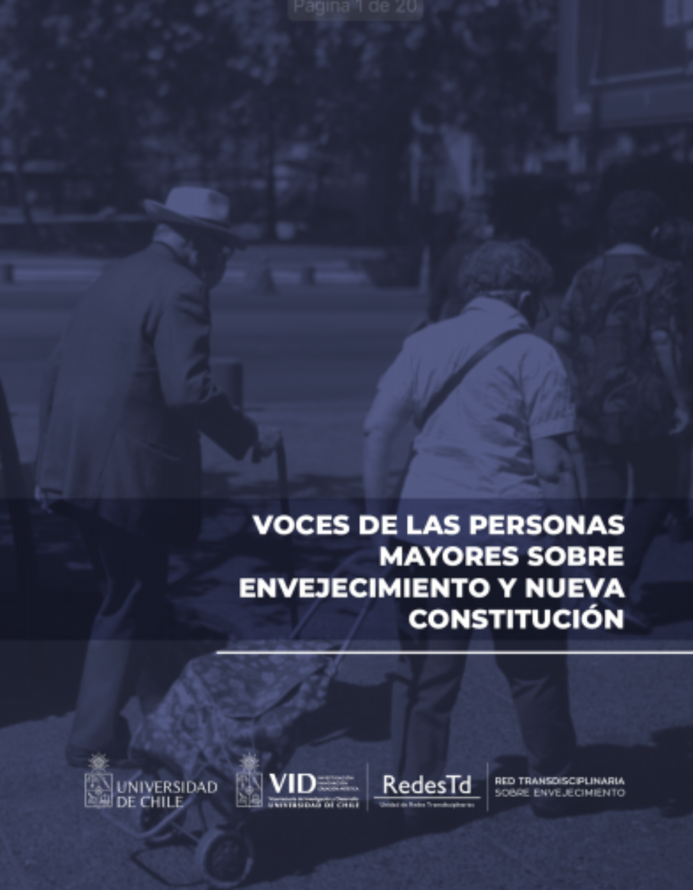 Documento "Derechos de las personas mayores en la nueva constitución: aportes desde la Universidad de Chile"