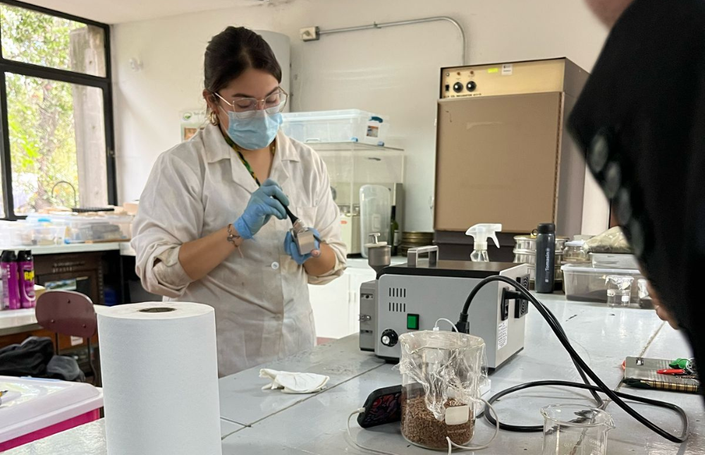  El Programa de Estímulo a la Excelencia Institucional (PEEI) es uno de los instrumentos de la Universidad de Chile que tiene como objetivo principal apoyar la investigación de excelencia de sus investigadores(as) más allá de los fondos públicos externos.