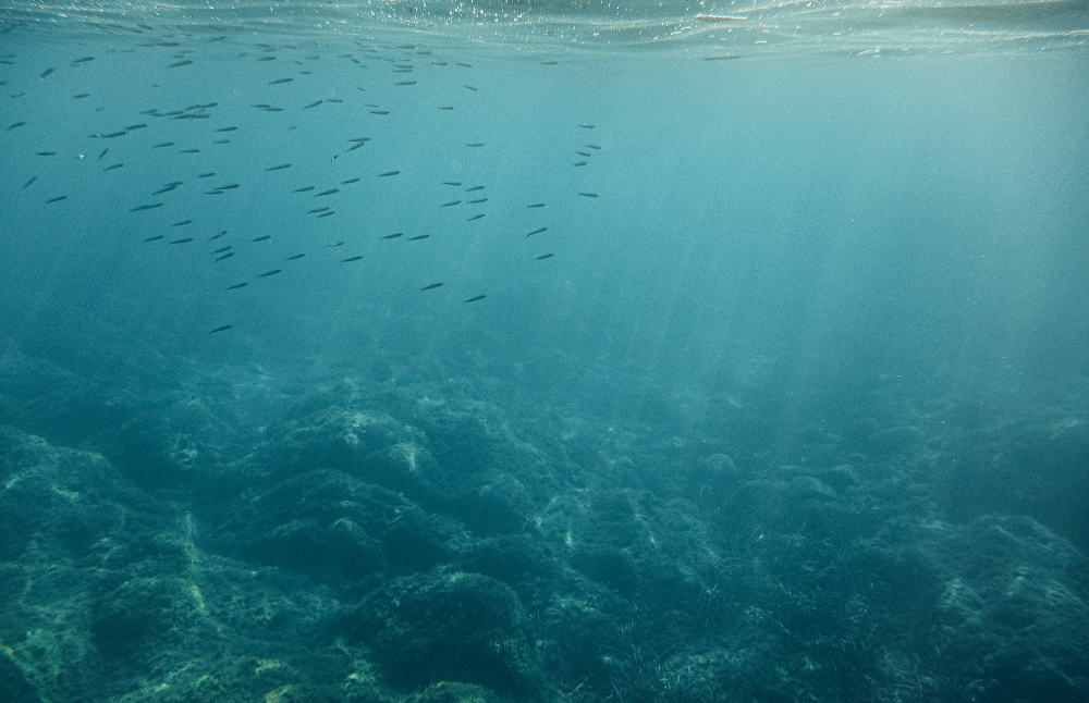 En el Concurso de Centros Tecnológicos para la Innovación 2025, la Casa de Bello será parte del Centro de Innovación para la Transición Energética Sustentable (SET) y del Consorcio Tecnológico del Agua (COTH2O).