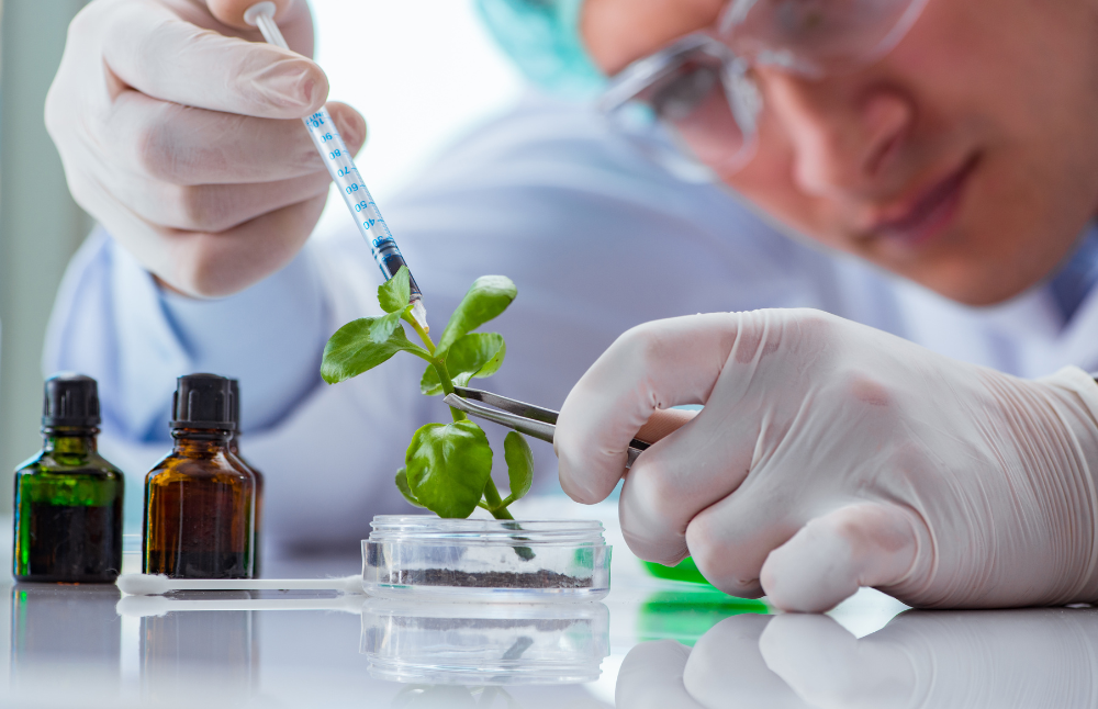 La profesora Stange indicó que “los sistemas agrícolas de Chile se ven cada vez más amenazados por la persistente escasez de agua y las altas temperaturas, factores de estrés que afectan de manera desproporcionada a las regiones centrales de Chile”. 