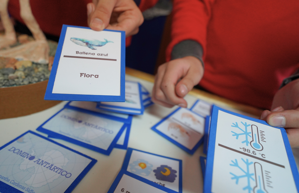 La propuesta es impulsada por el Instituto Milenio Biodiversidad de Ecosistemas Antárticos y Subantárticos, conocido también como Instituto Milenio BASE, y la Fundación Coalición de Jóvenes Antárticos.