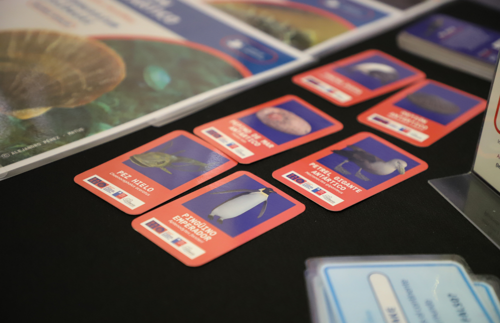 De este modo, la Feria Descubriendo Conocimientos se consolidó como un espacio destinado a estimular la curiosidad y los aprendizajes, promoviendo una cultura de conocimiento y responsabilidad social.