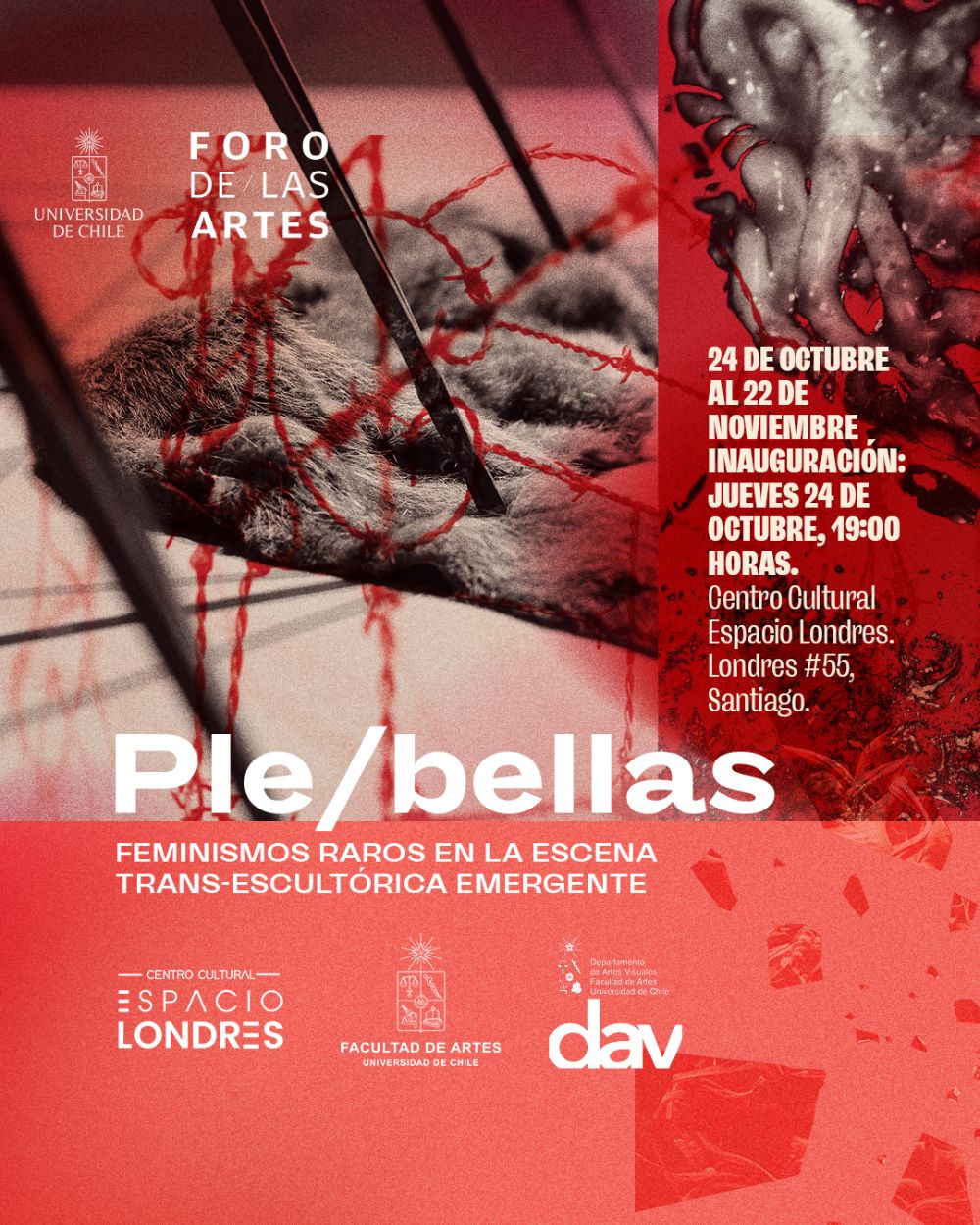 “Ple/bellas: feminismos raros en la escena trans-escultórica emergente" reúne a cinco artistas visuales emergentes —Alexia Apablaza, Emilia Moren, Vanessa Fuentes, Antonia Moena Burgos y Paz Uribe— bajo la curaduría de Mauricio Bravo Carreño. 